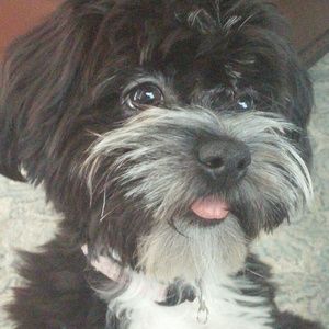 Meet your Posher, Teresa